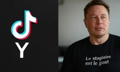 Elon Musk et TikTok